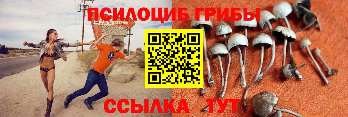 Великий Устюг  Псилоцибиновые грибы ЛСД  Вход с VPN  Галлюциногенные грибы MAGIC MUSHROOMS 